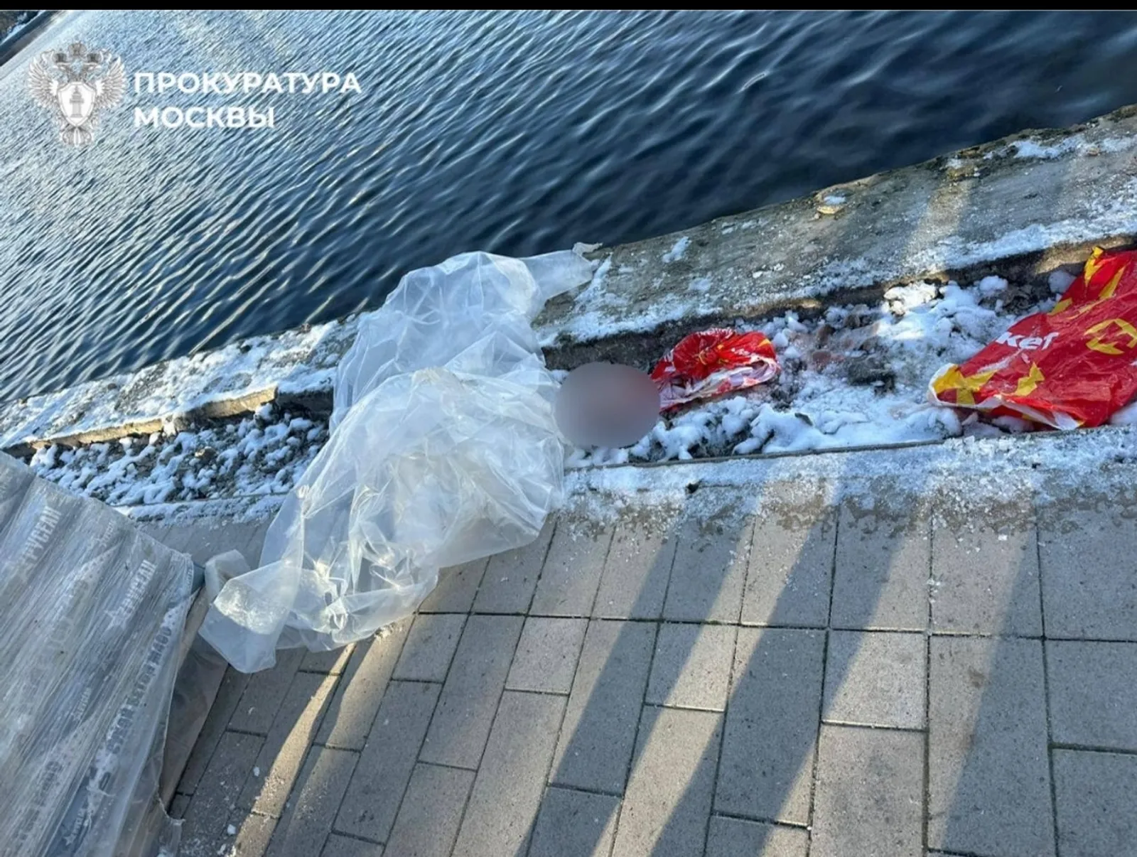 Мәскәүдә рюкзак эчендә 10 яшьлек бала башы тапканнар...