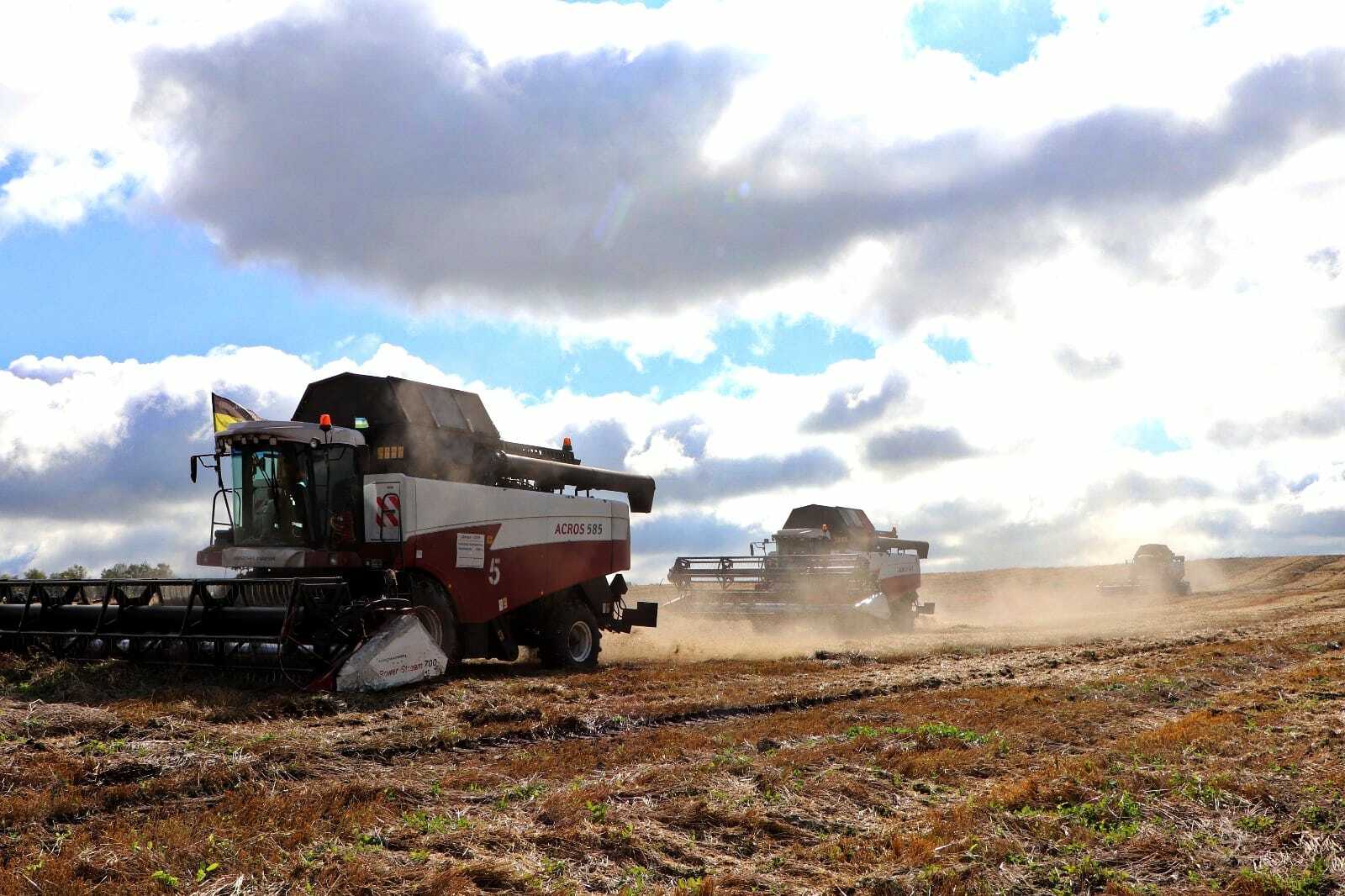 Республикада кызу урак өсте