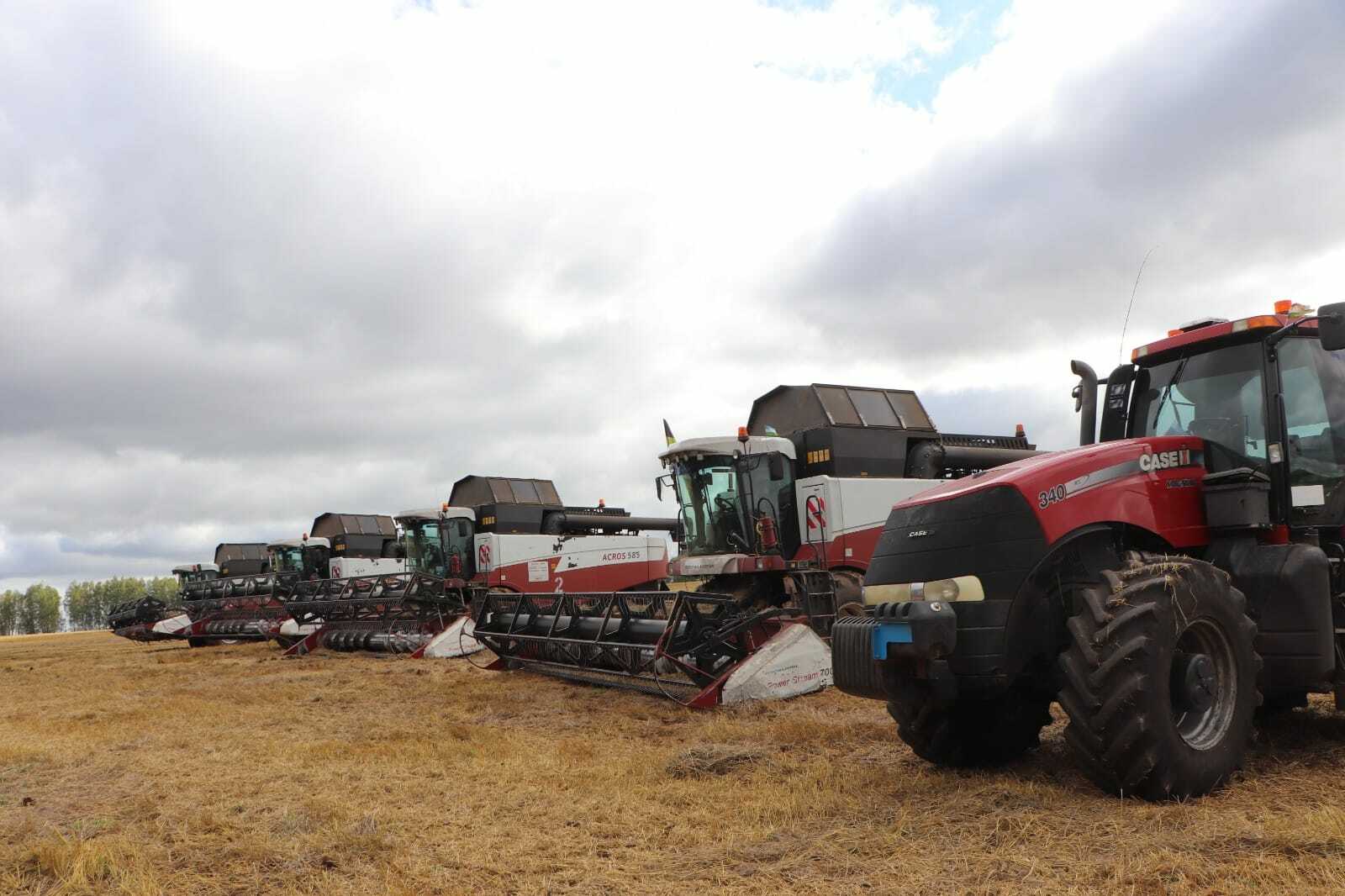 Республикада кызу урак өсте