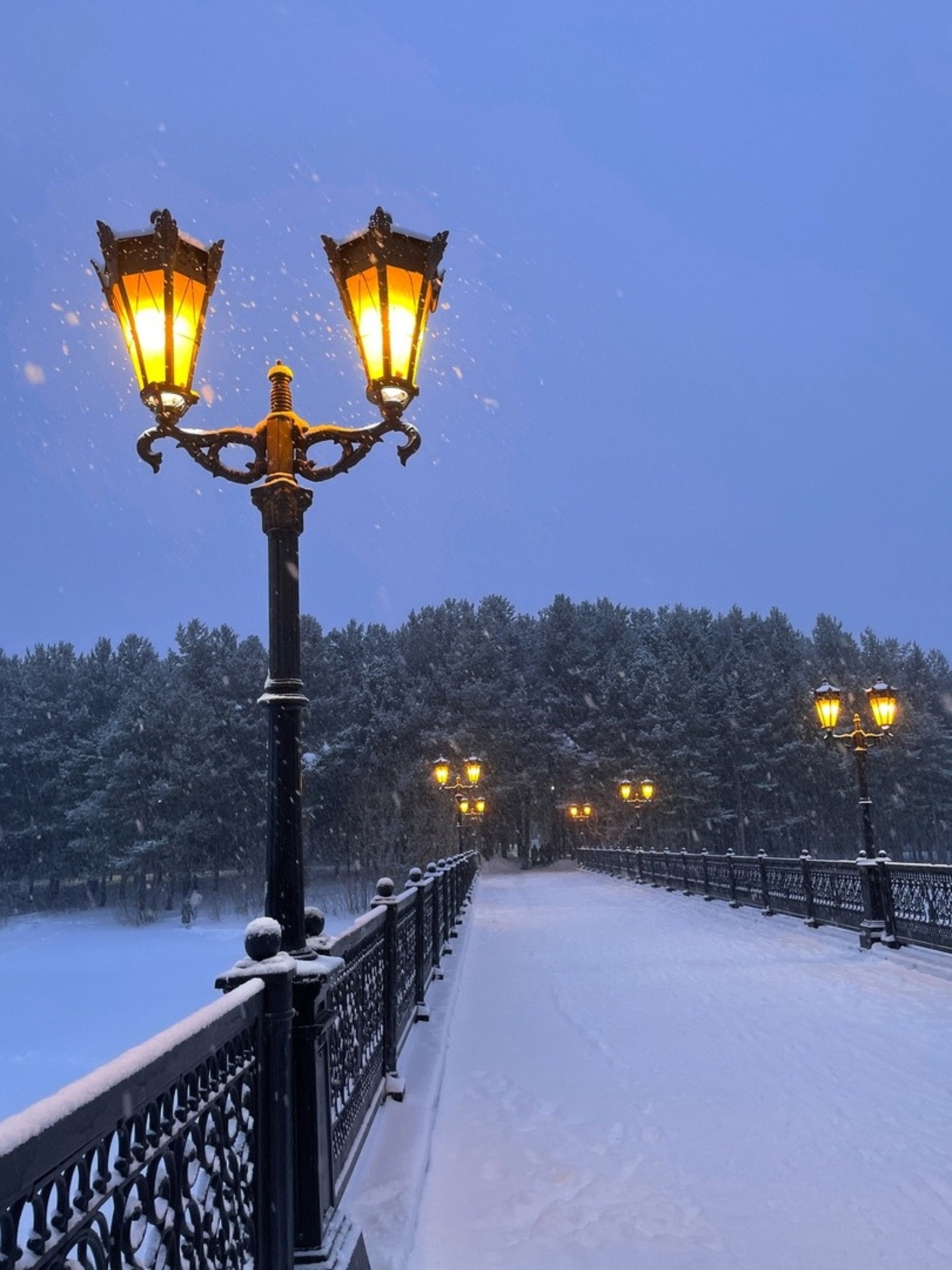 Лилия Гарипова