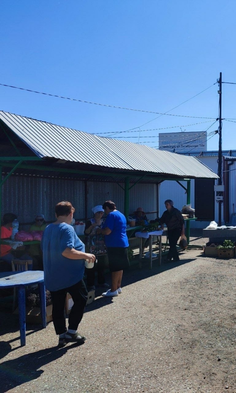 Чакмагыш бакчачылары өчен уңайлыклар тудырылган