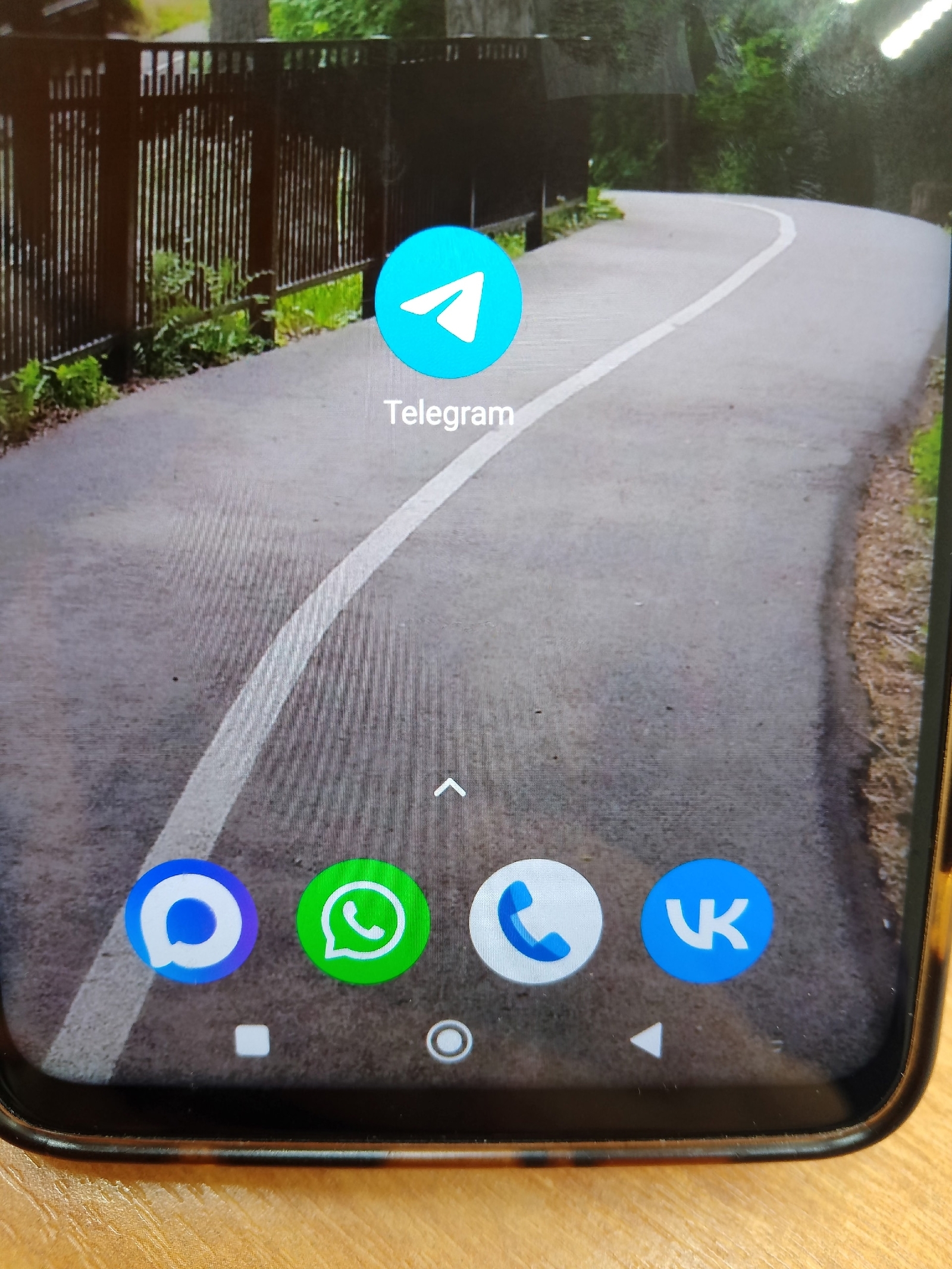 Ләйсән Каспранова.