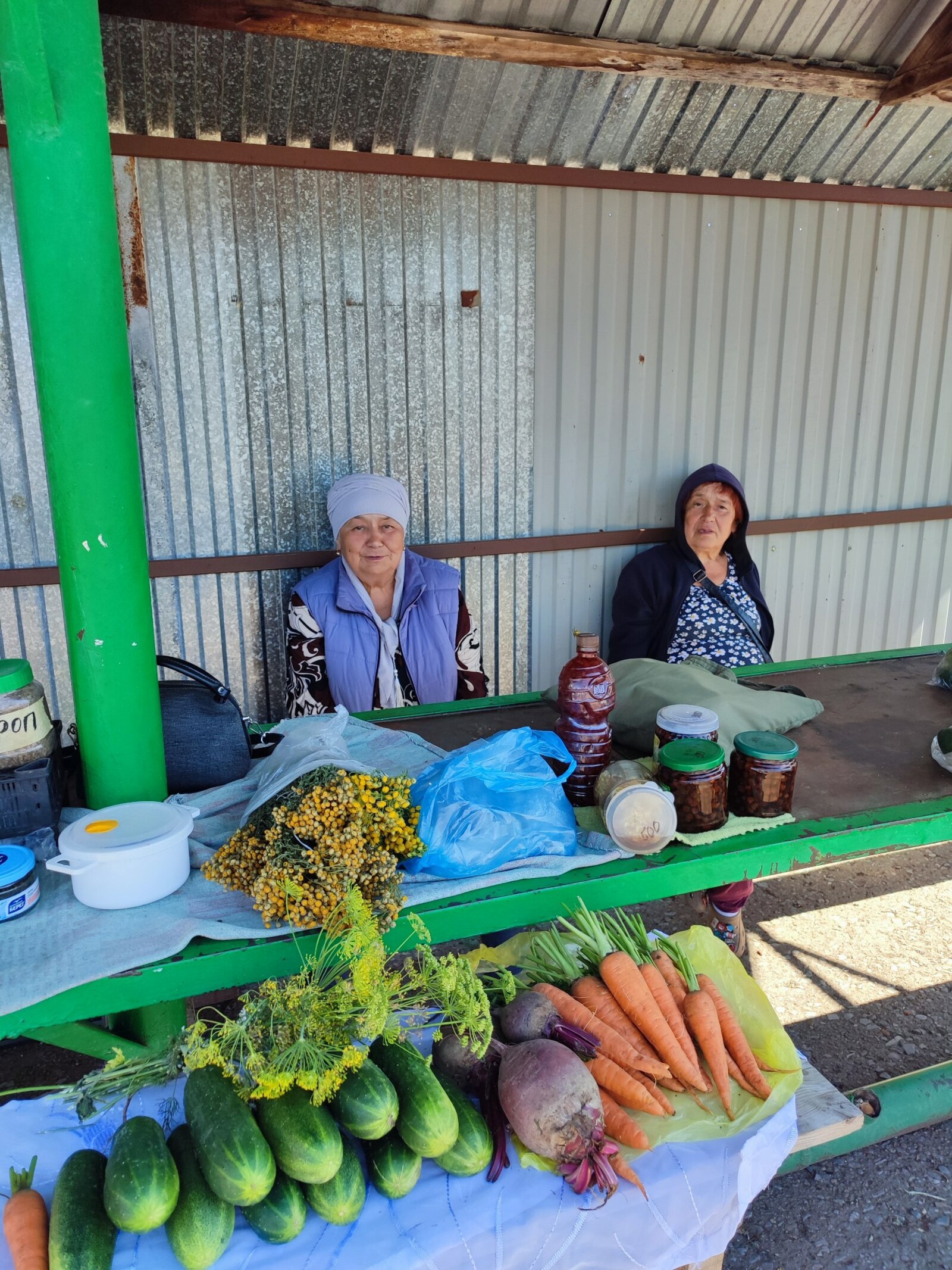 Чакмагыш бакчачылары өчен уңайлыклар тудырылган