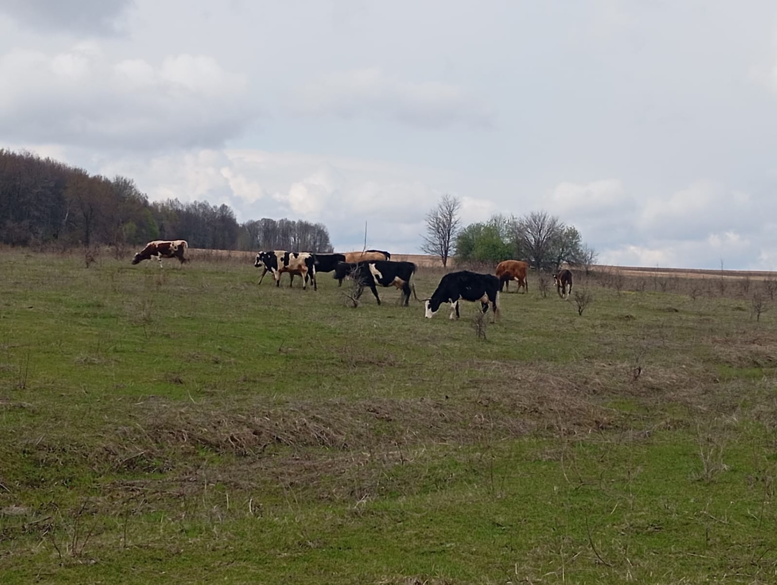 КӨТҮ ЧЫКТЫ!