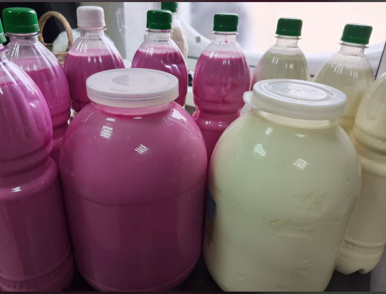 Люция Кашиповадан чөгендерле катык рецепты