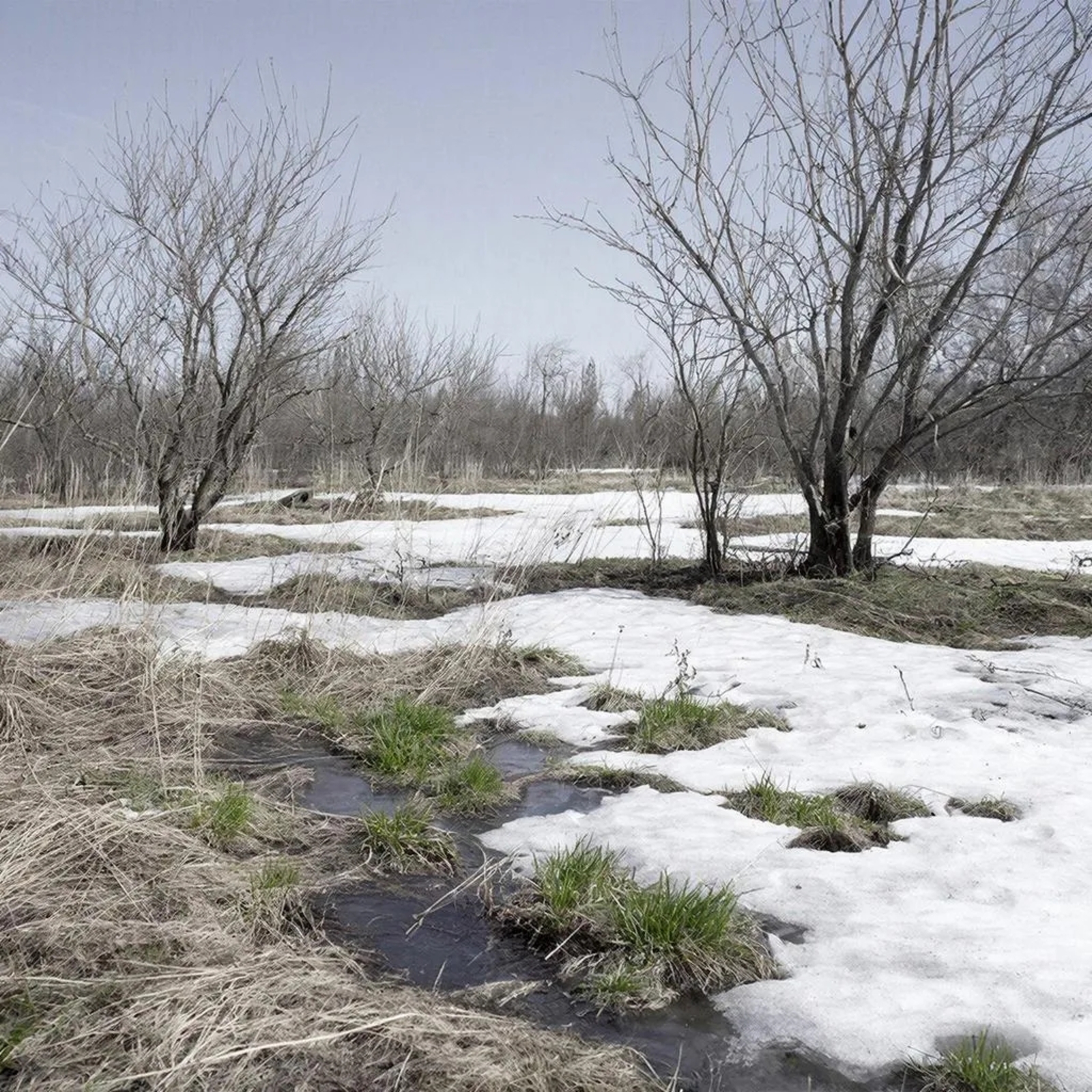 Башкортстанда +15°ка кадәр җылытачак