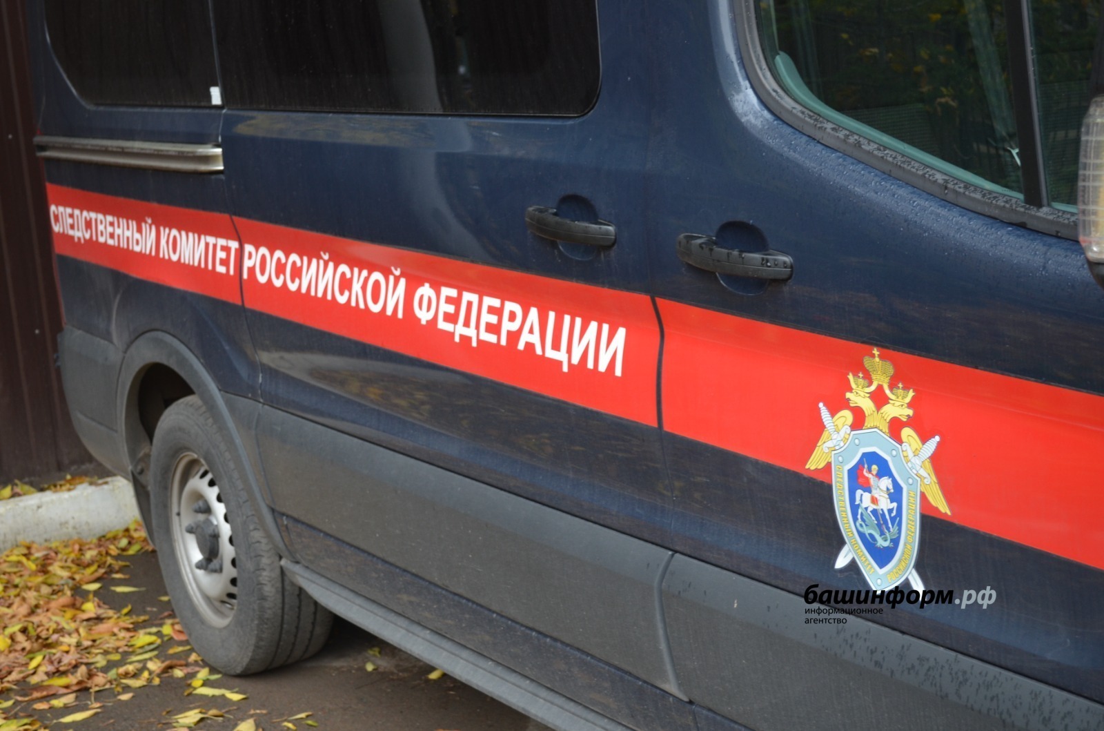 Ксения Калинина.