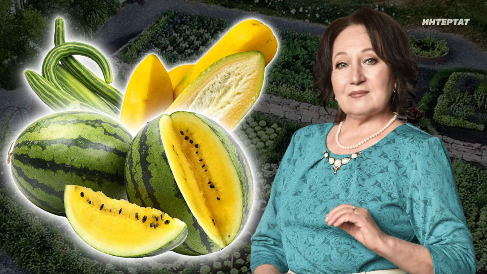 Экзотика үстерүче бакчачы Ризида Мөхәммәтҗанова белән әңгәмә