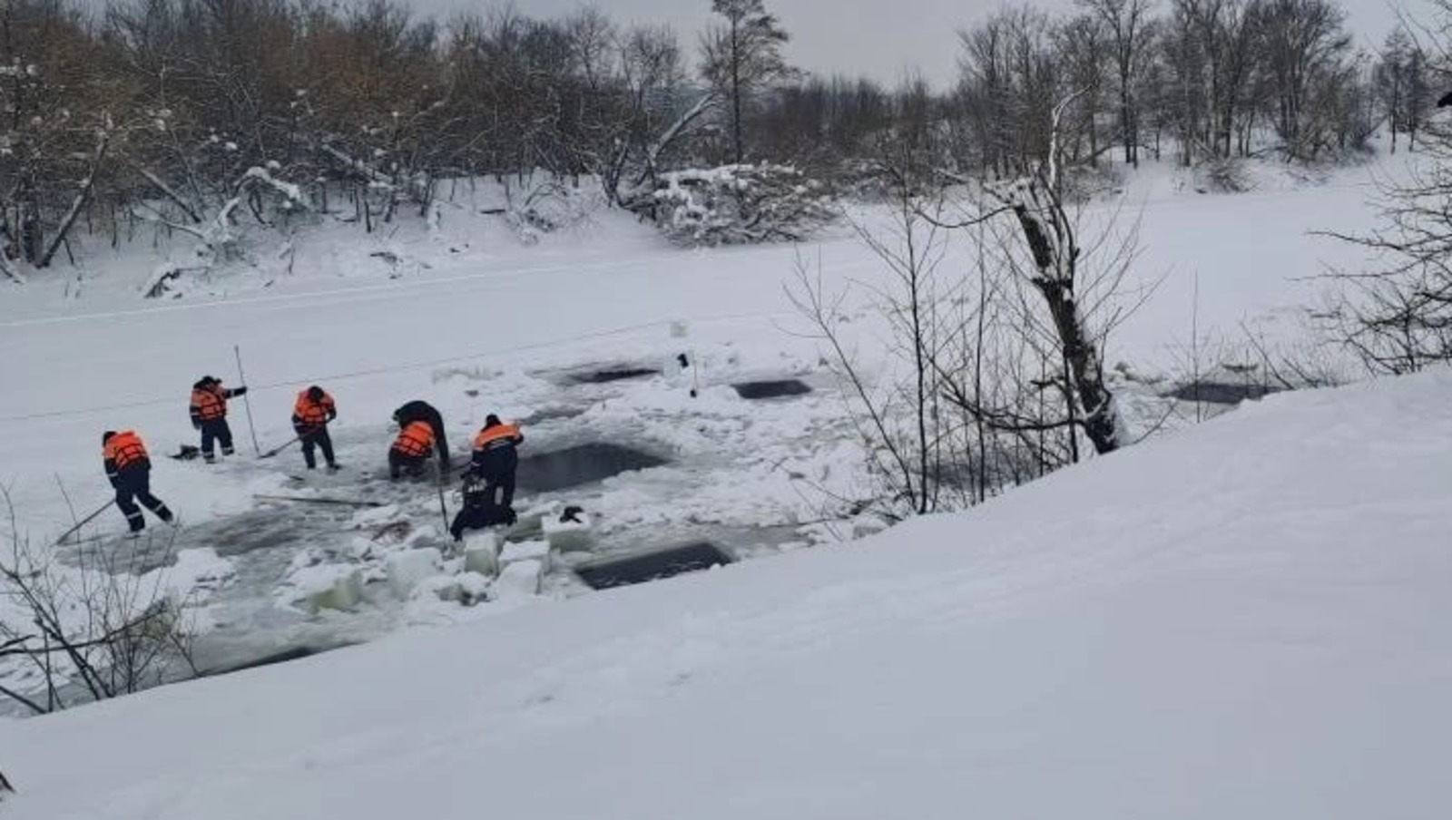 Меңнән артык хайван батып үлде