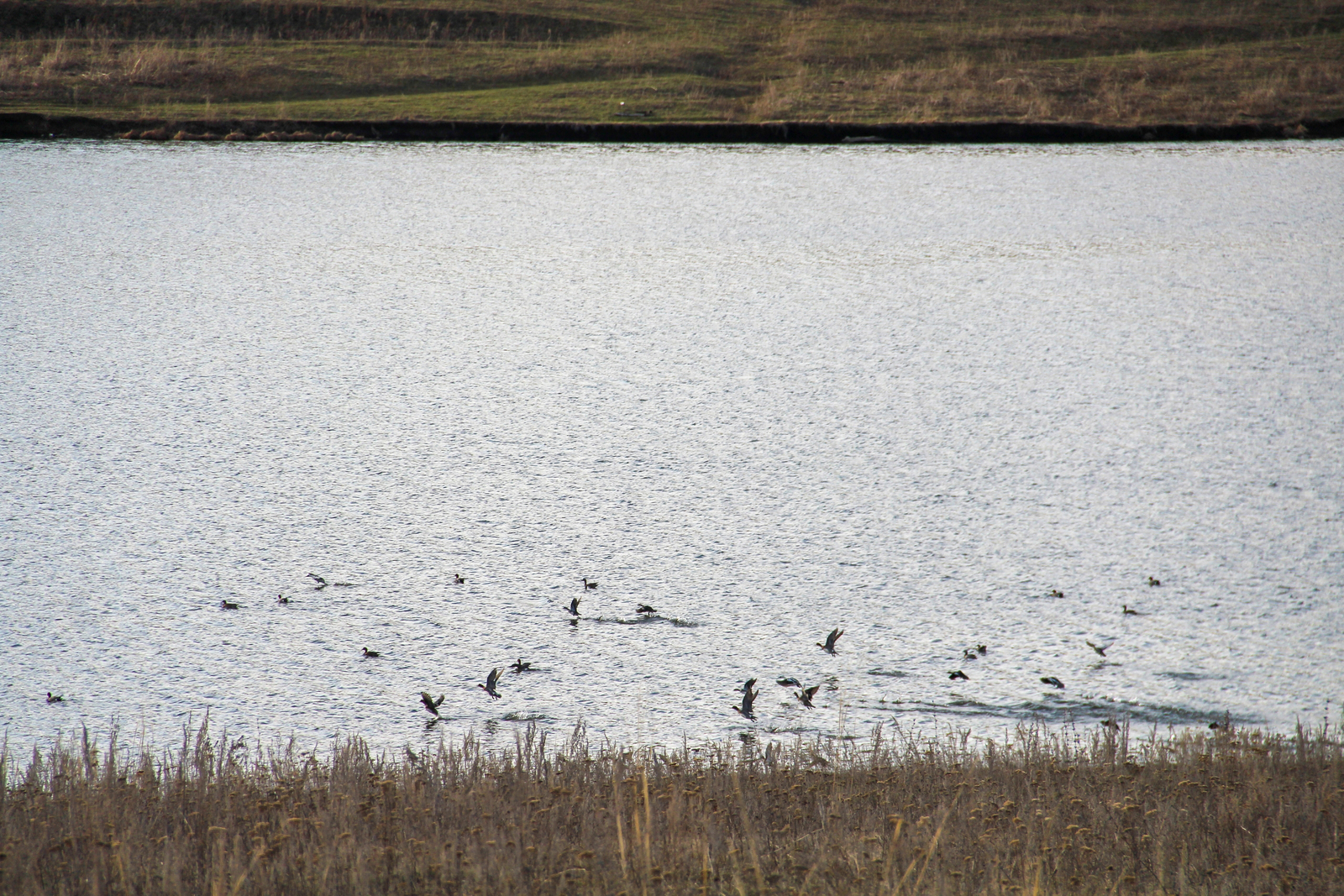 Астрологлар фараз кыла: Перспектив тәкъдимнәрне кире какмагыз