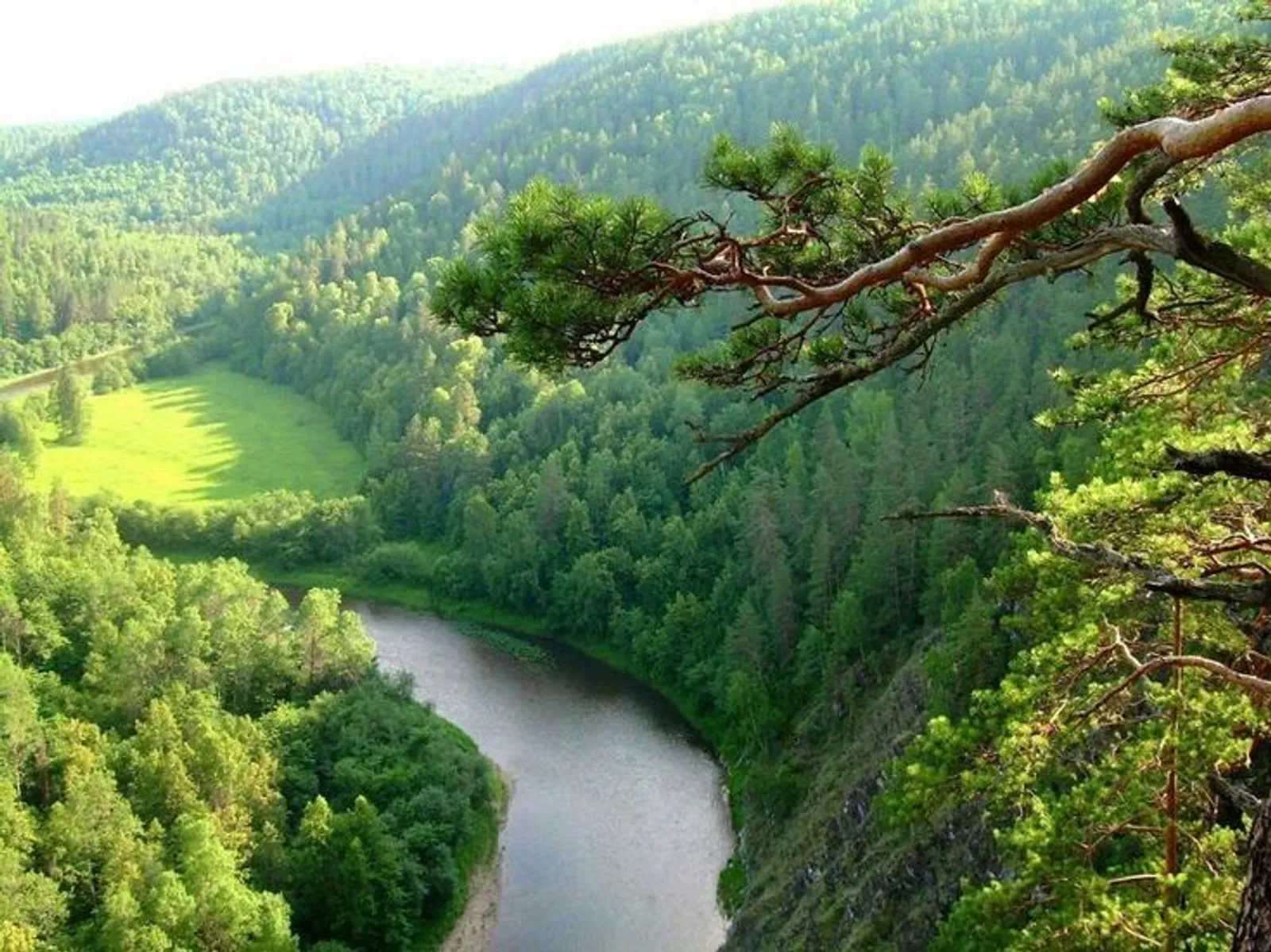 Яшел калканнарыбыз