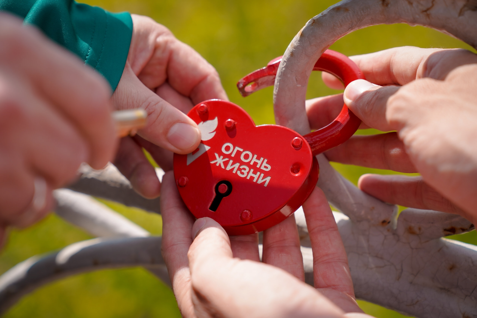 20 апрель – Донорлар көне