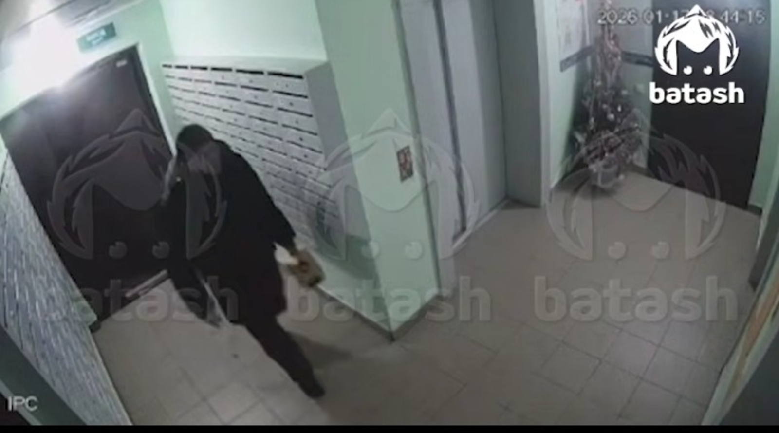 Mash Вatash Телеграм-каналы видеосыннан скриншот.