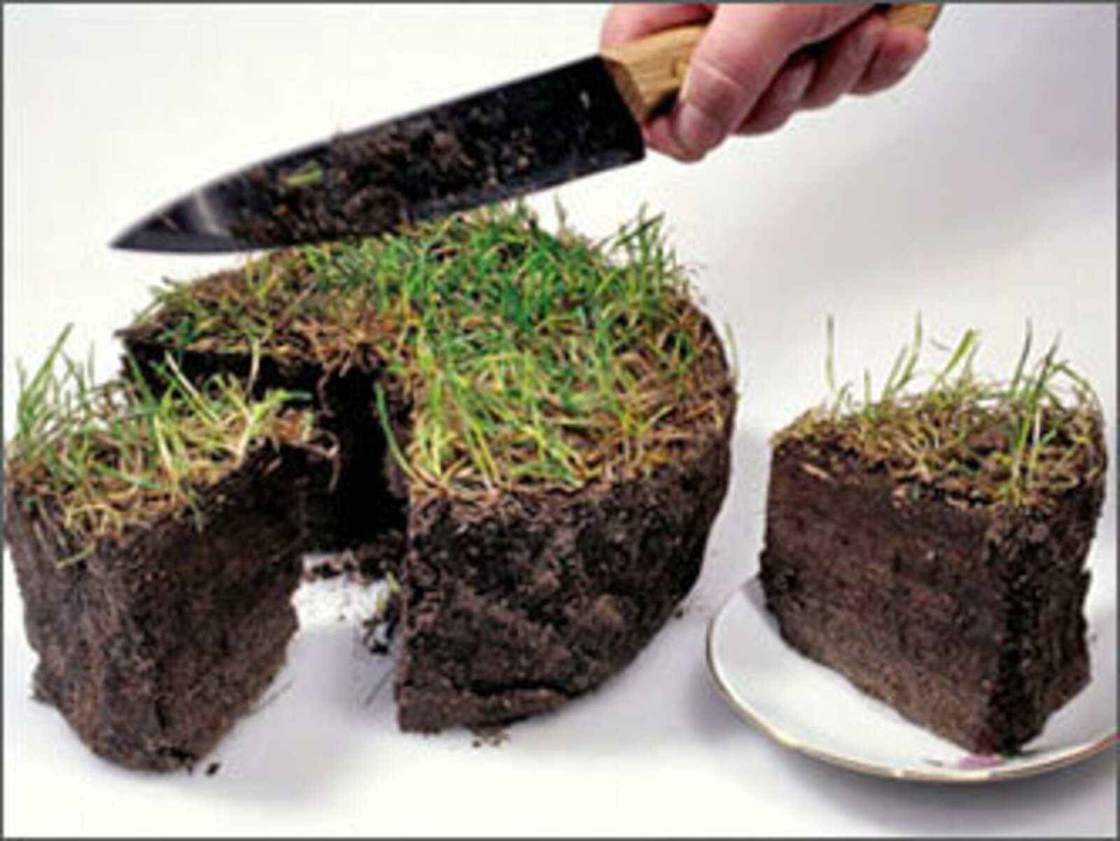 Балчык ашыйм. Нигә икән?