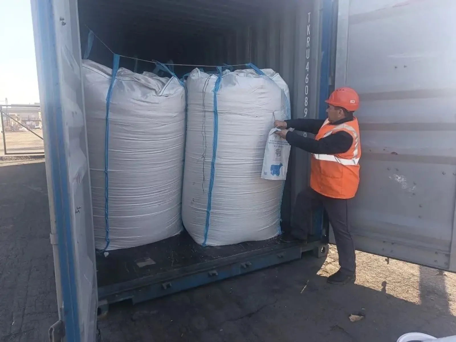 Солы Кытайга китте