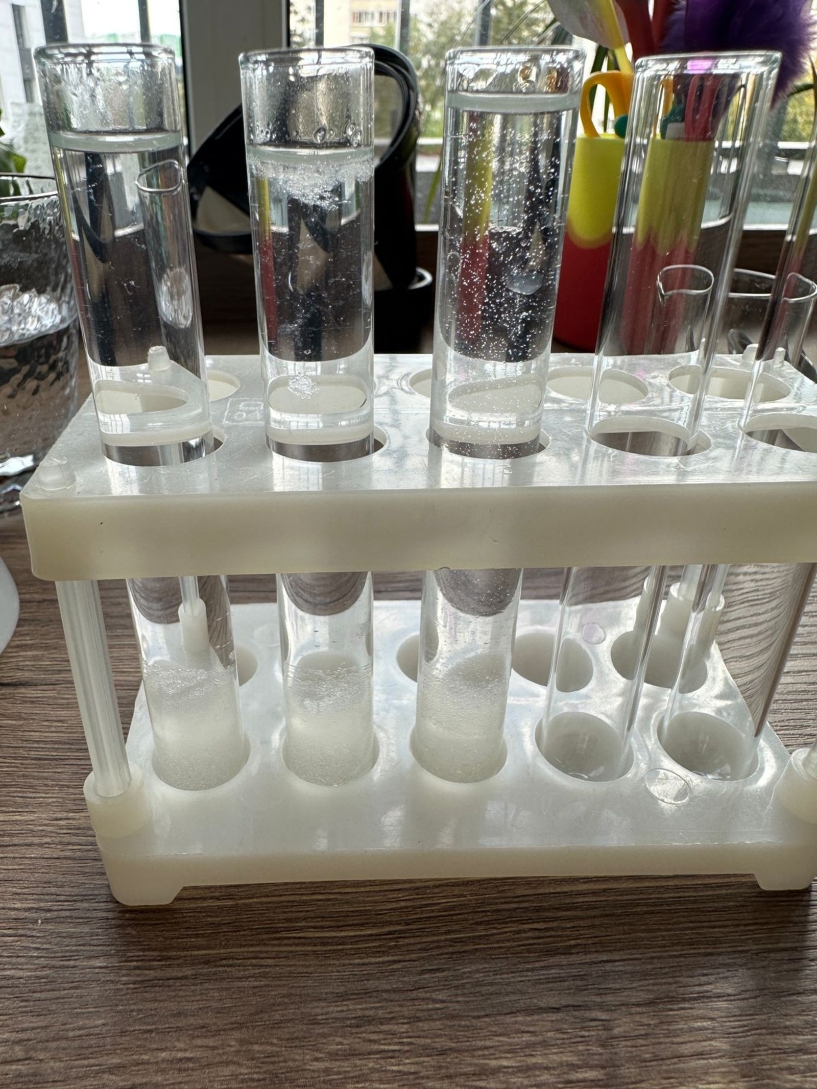 Регина Солтанова.