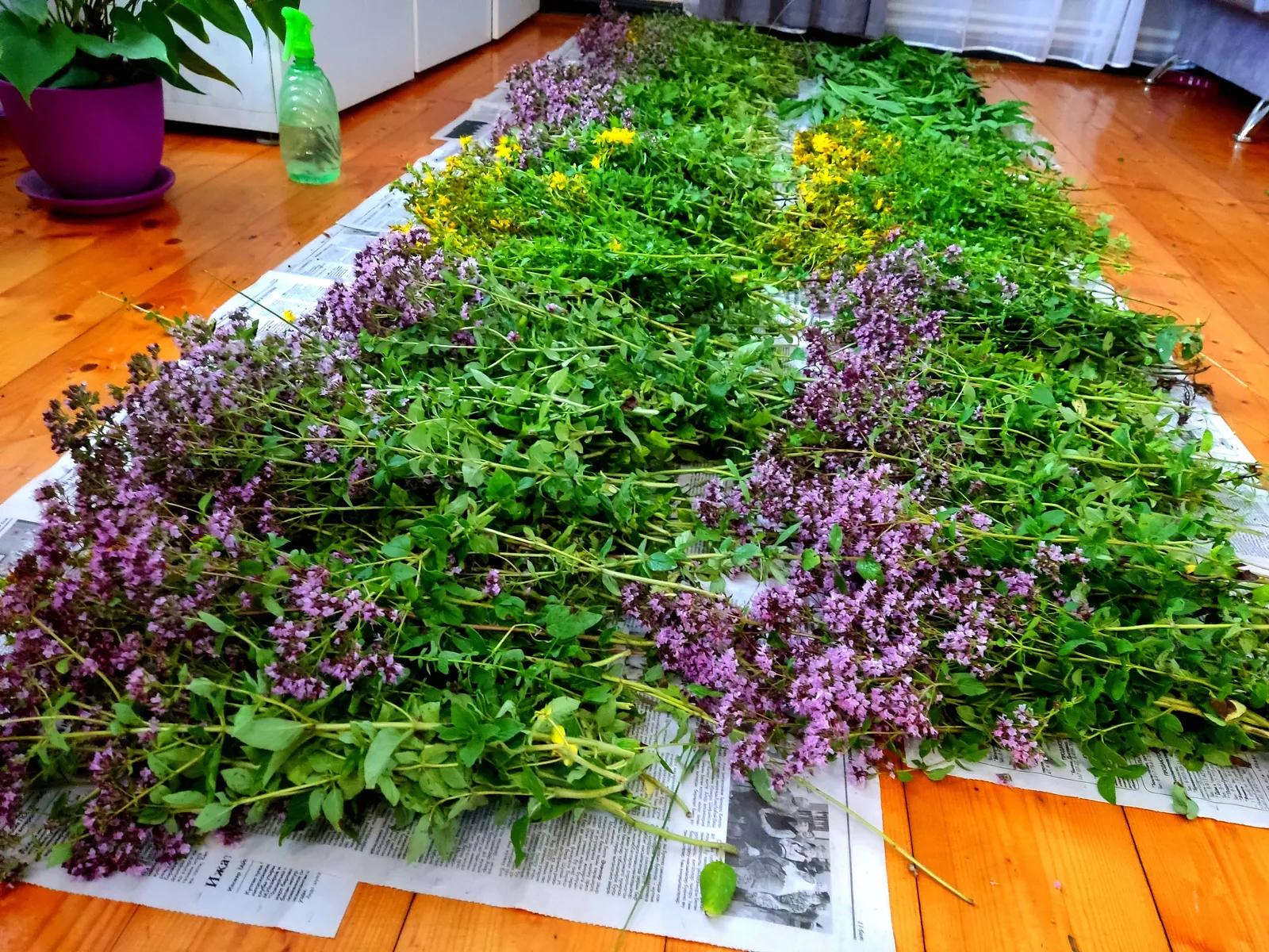 Мәтрүшкә сызлауны баса