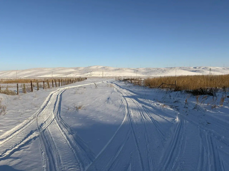 Законсыз рәвештә кыргый хайваннарны аткан