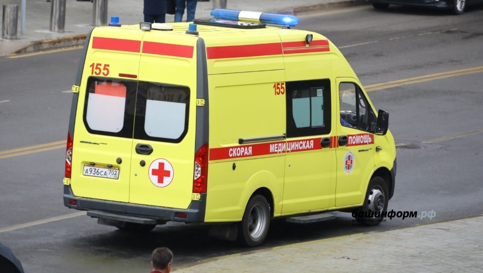 Ике баланың гомере – кыл өстендә