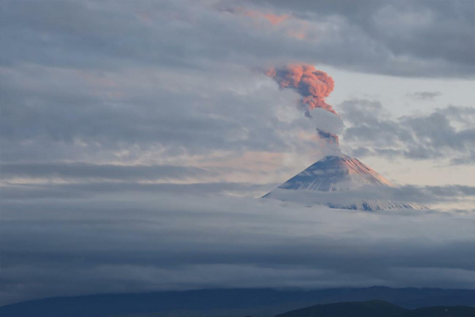 Камчатка инде ике атна тетри