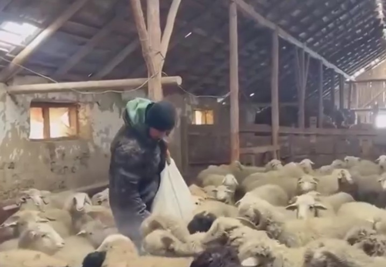 SHOT Telegram-каналы видеосыннан скриншот.