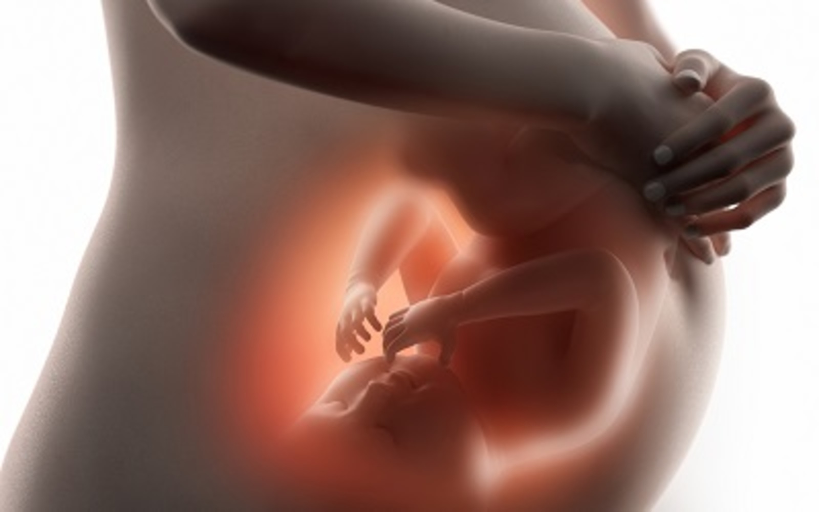 Корсактагы бала әнисен яшәртәме?