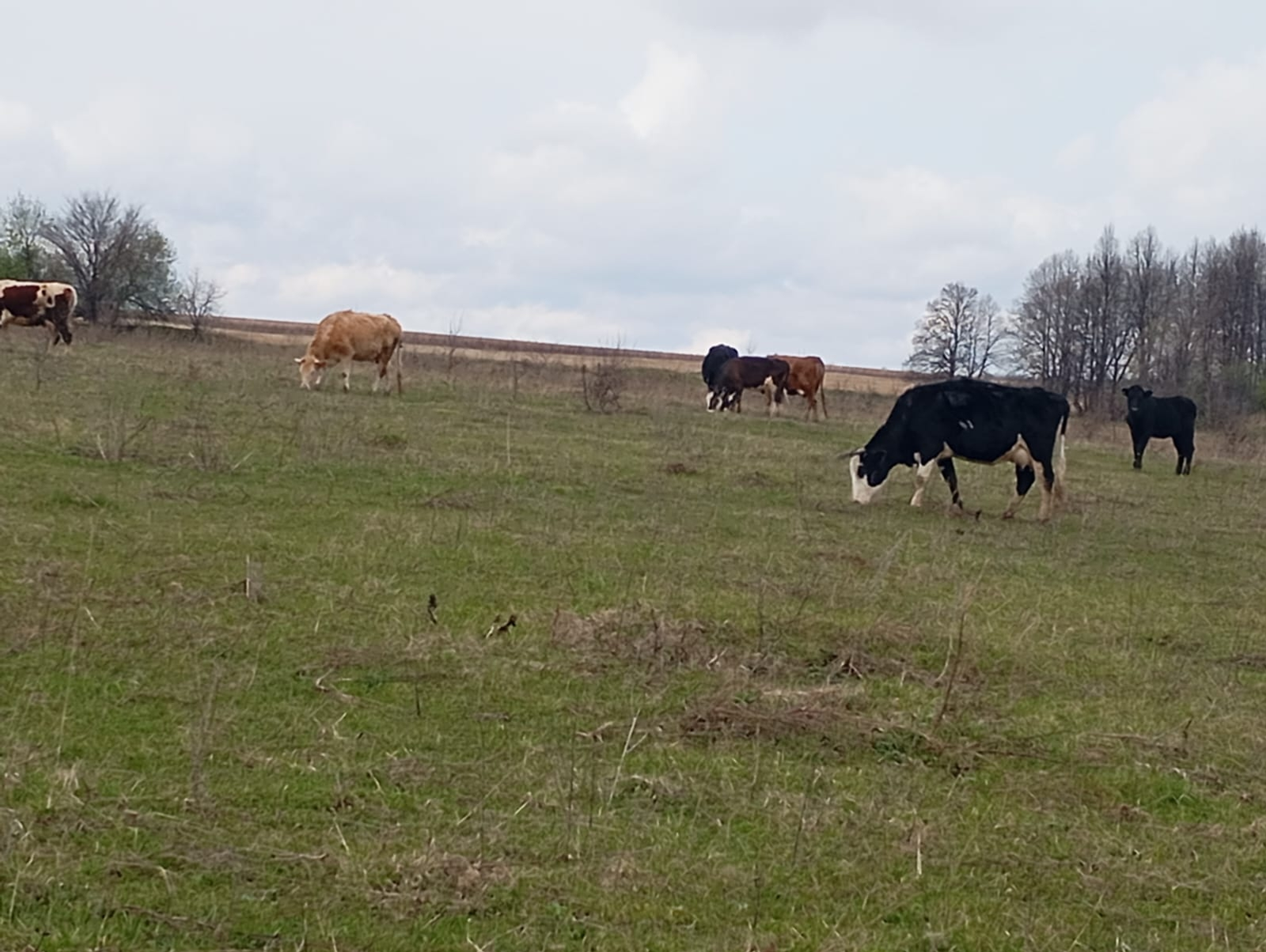 КӨТҮ ЧЫКТЫ!