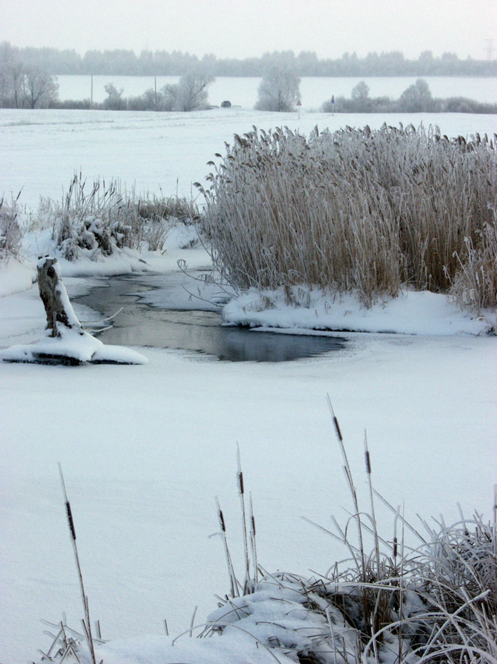 Айрат Нурмөхәммәтов.