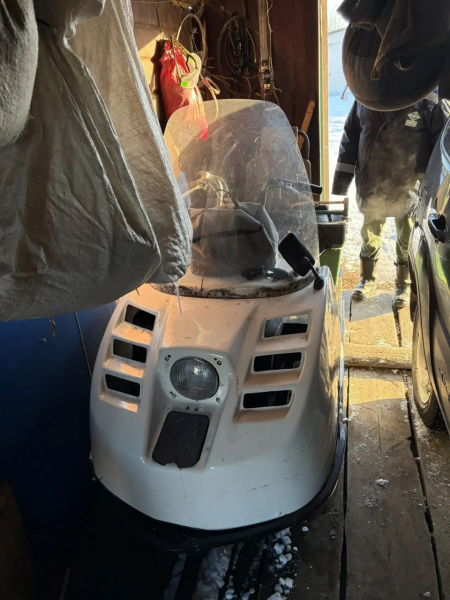 Законсыз рәвештә кыргый хайваннарны аткан