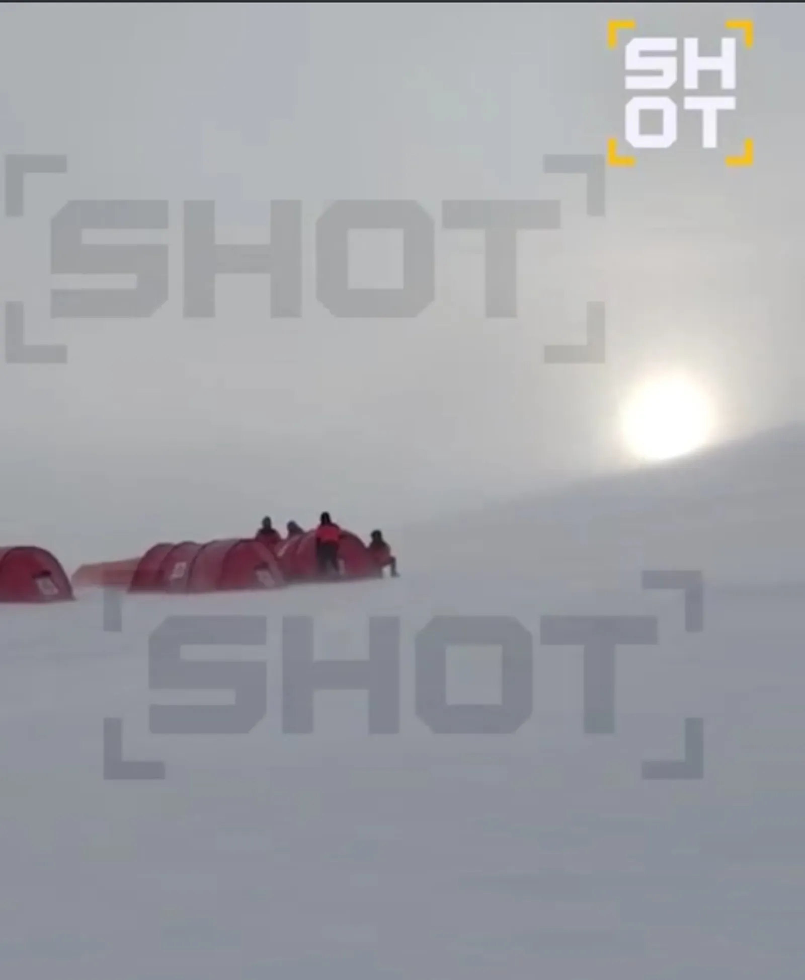 SHOT Телеграм-каналы видеосыннан скриншот.