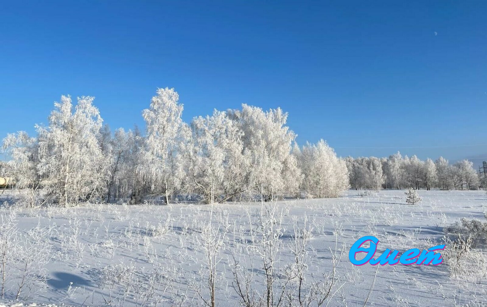 Автор фотосы.