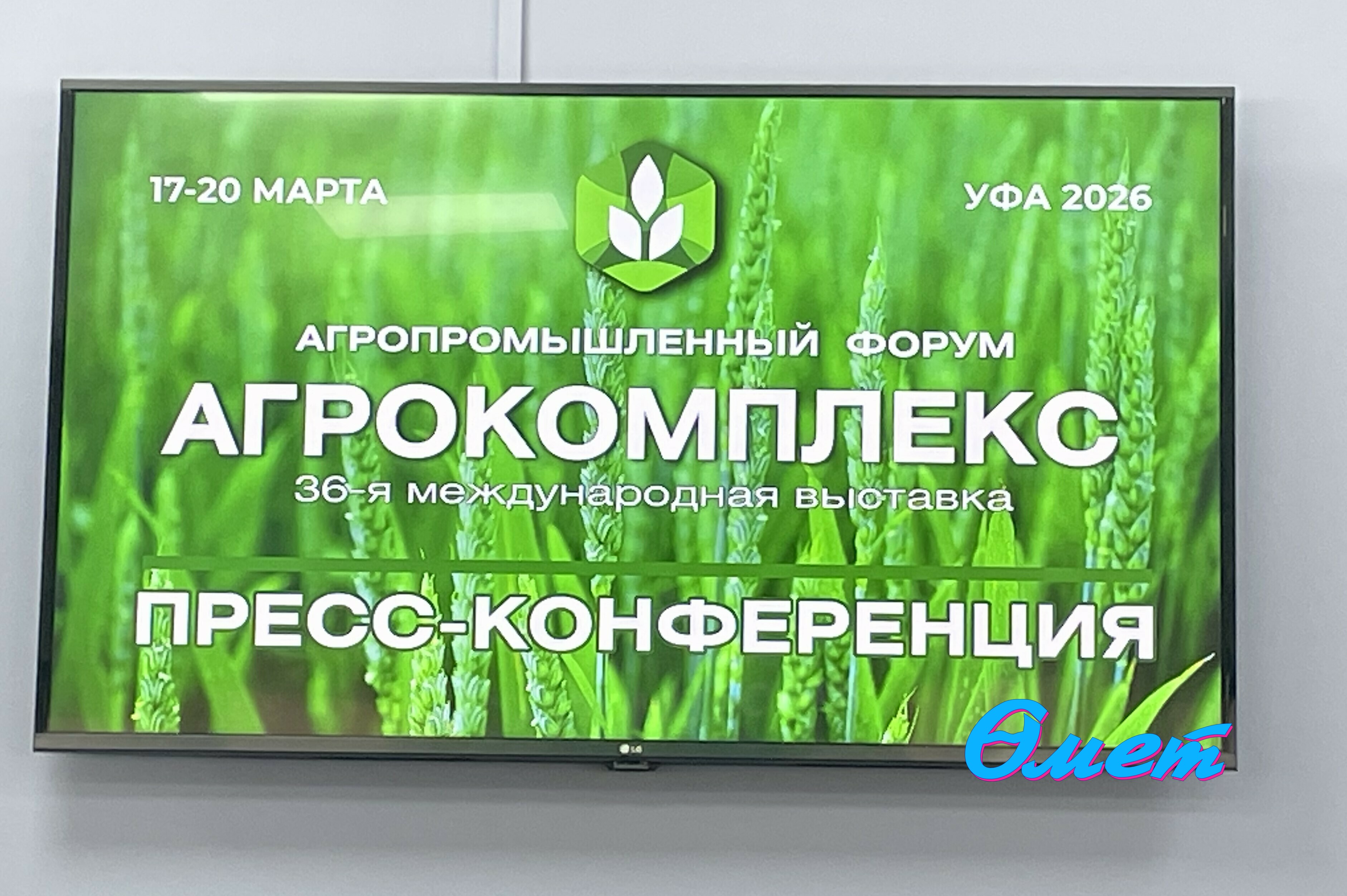 Язгөл Сафина.