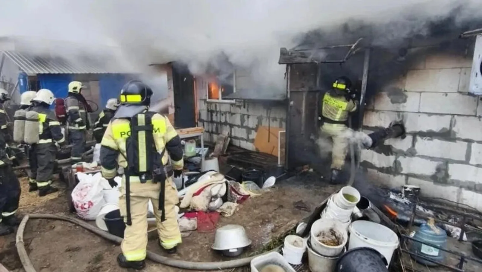 Ике йөзгә якын көчек янып үлгән