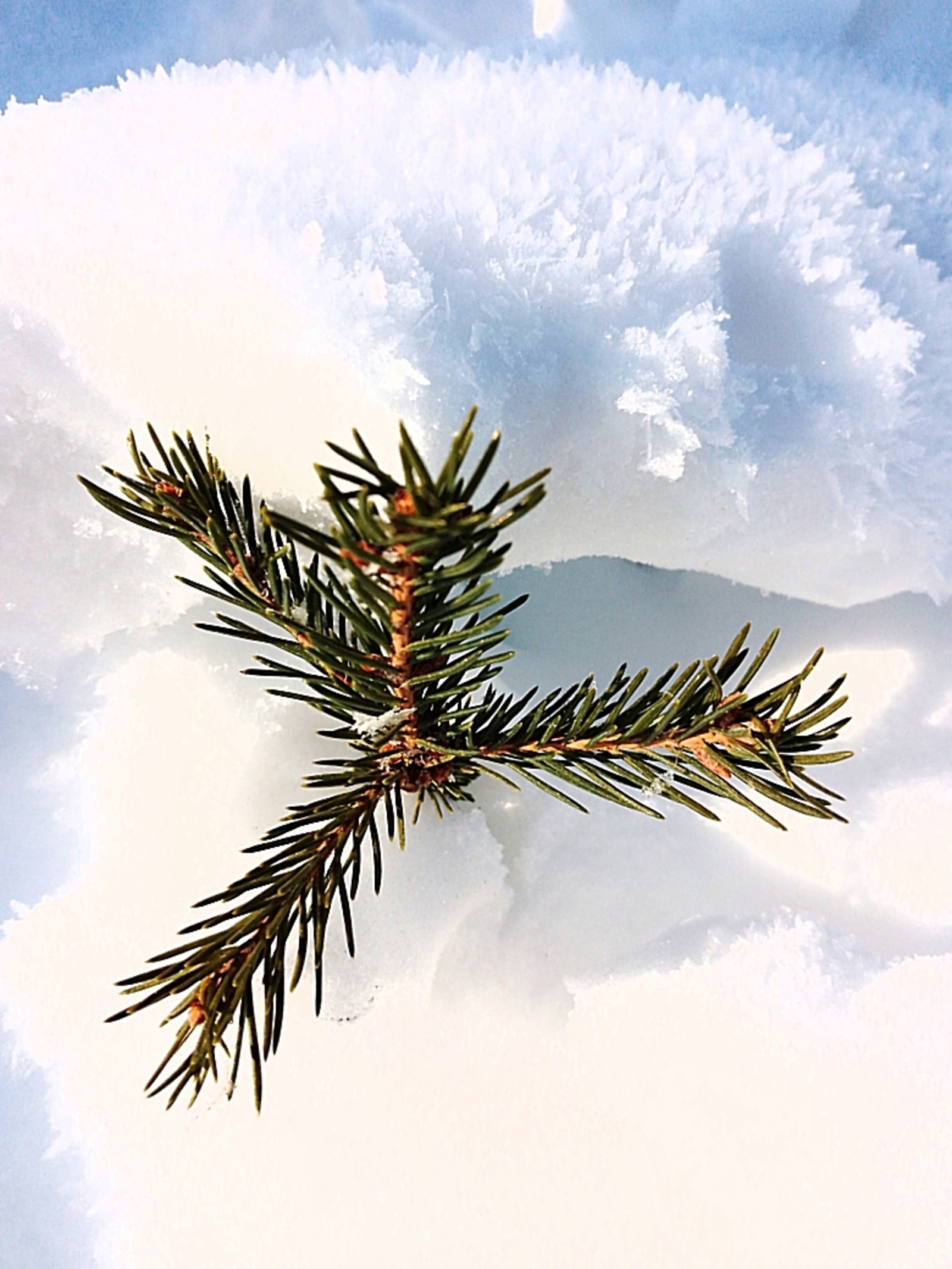 Ел ничек хушлаша?