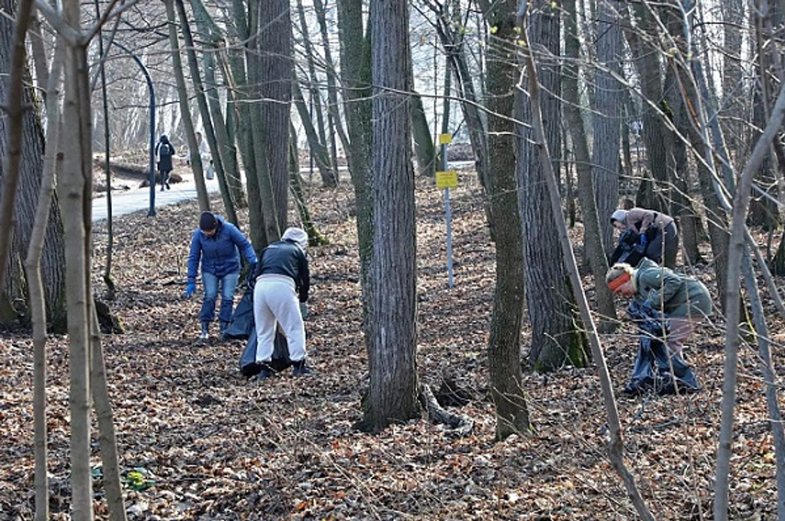Сез шимбә өмәсендә катнашасызмы?