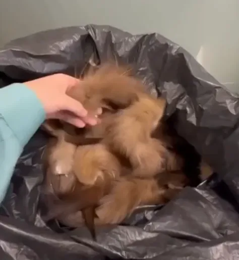 Менә сиңа, мә!