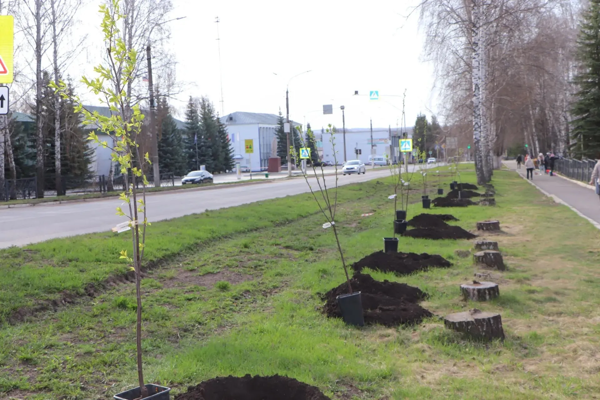 Чакмагышлылар "Яшел Башкортстан" акциясенә кушылды