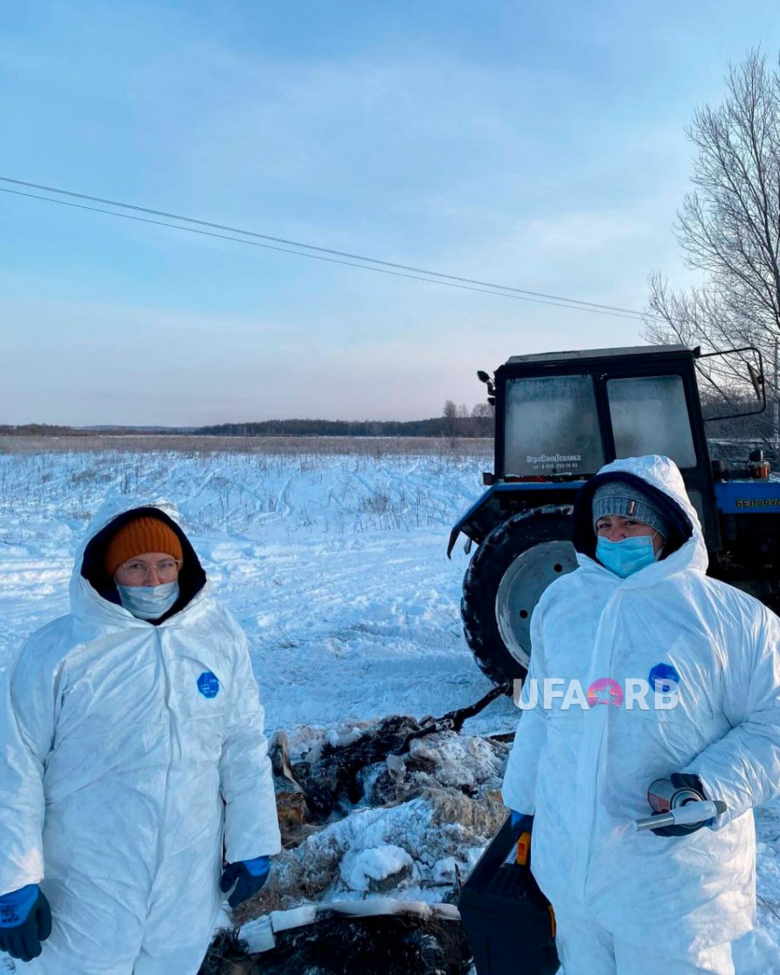 Сарыклары батып үлгән фермер 20 млн чамасы зыян күргән