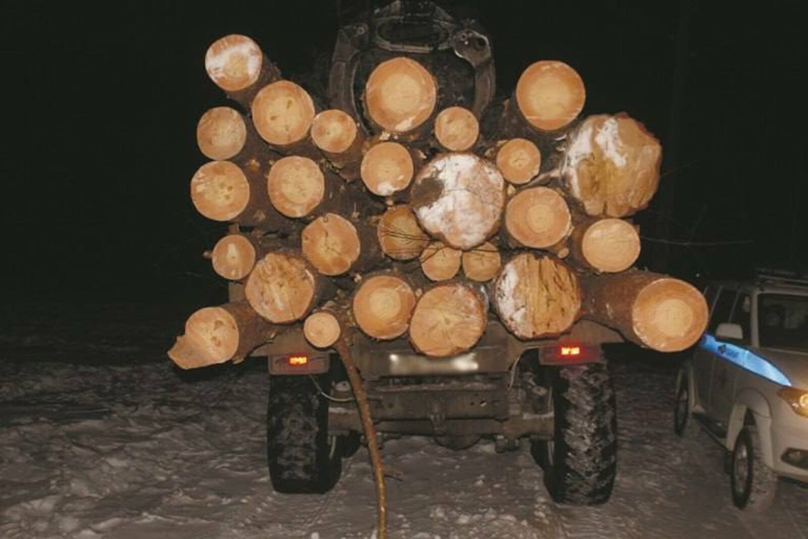 600 мең сумга законсыз рәвештә урман кискәннәр