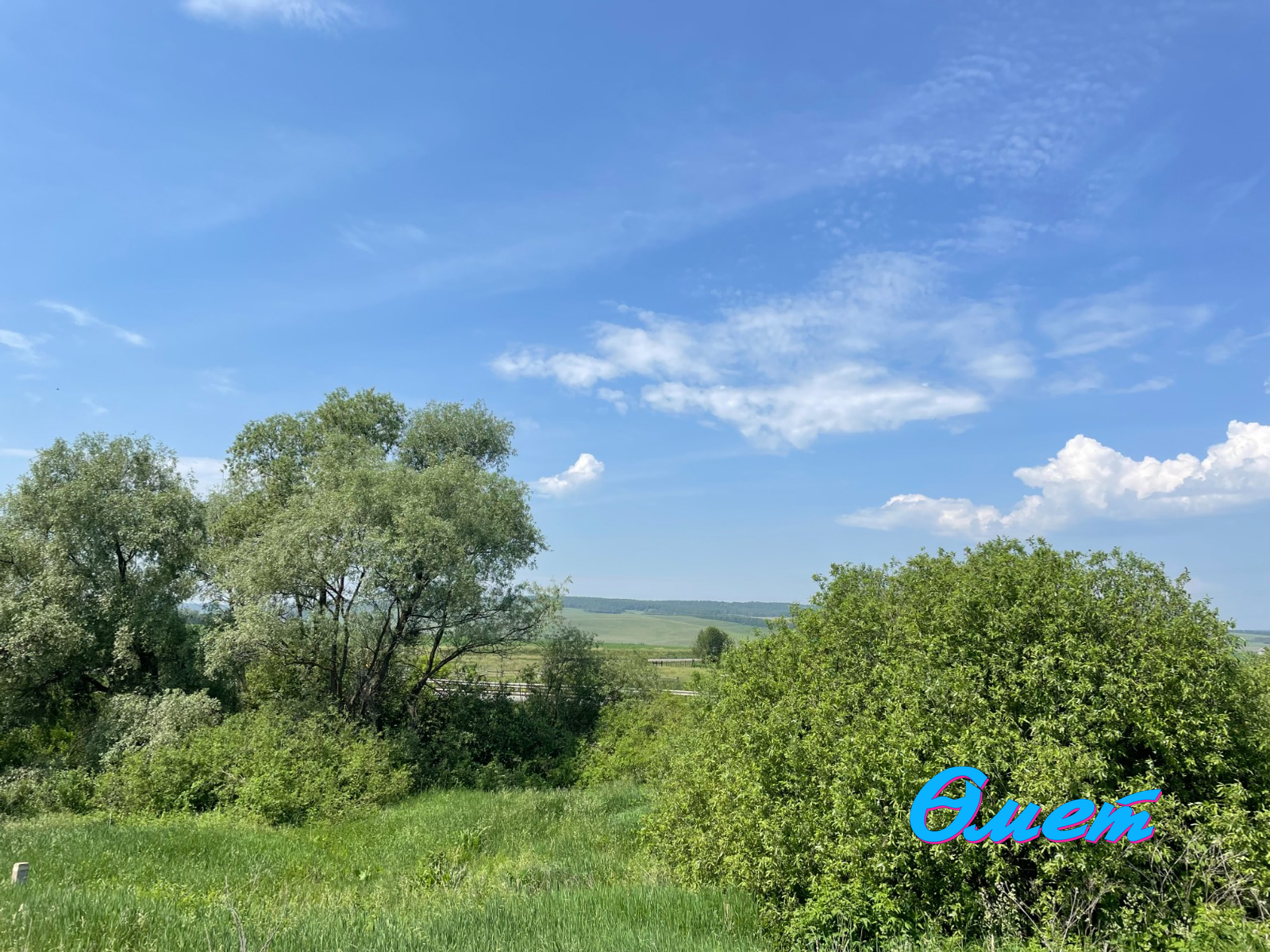 Язгөл Сафина.