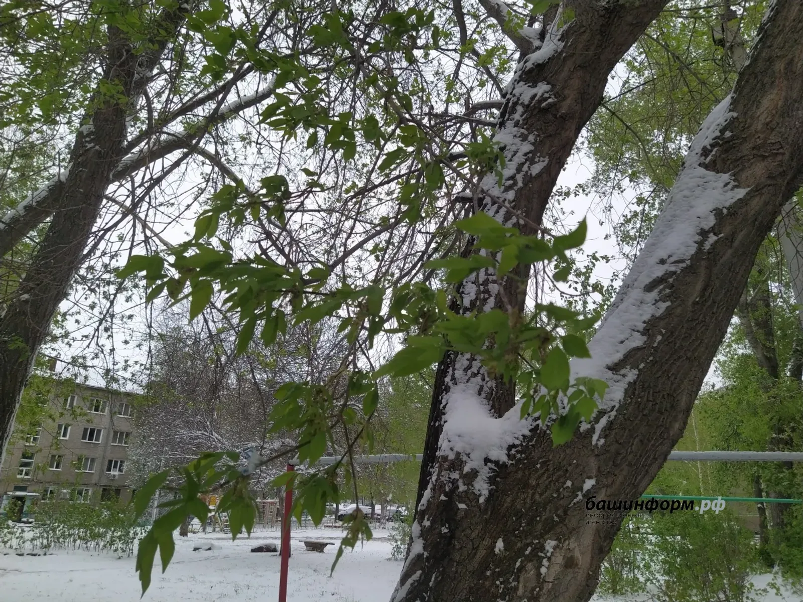 Башкортстанда кар һәм бозлавык көтелә