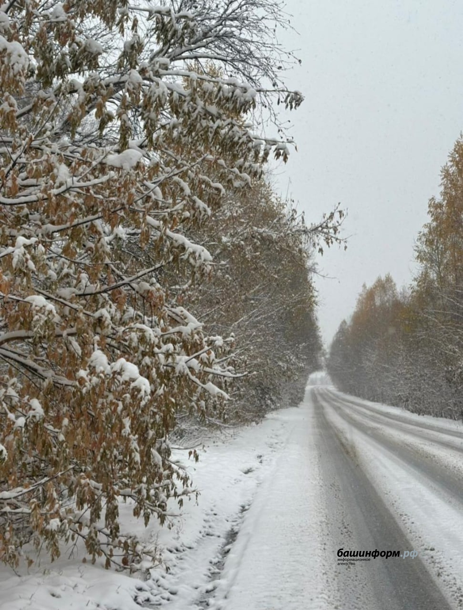 Хәерле иртә, карлы Башкортстан!