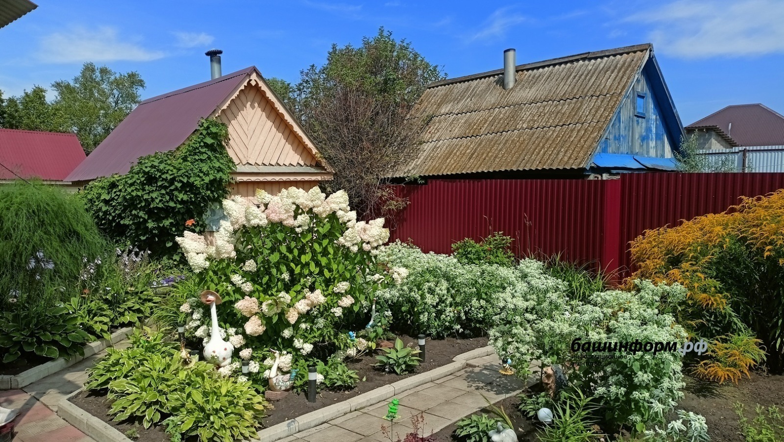 Бакчачыларга ярдәм булачак