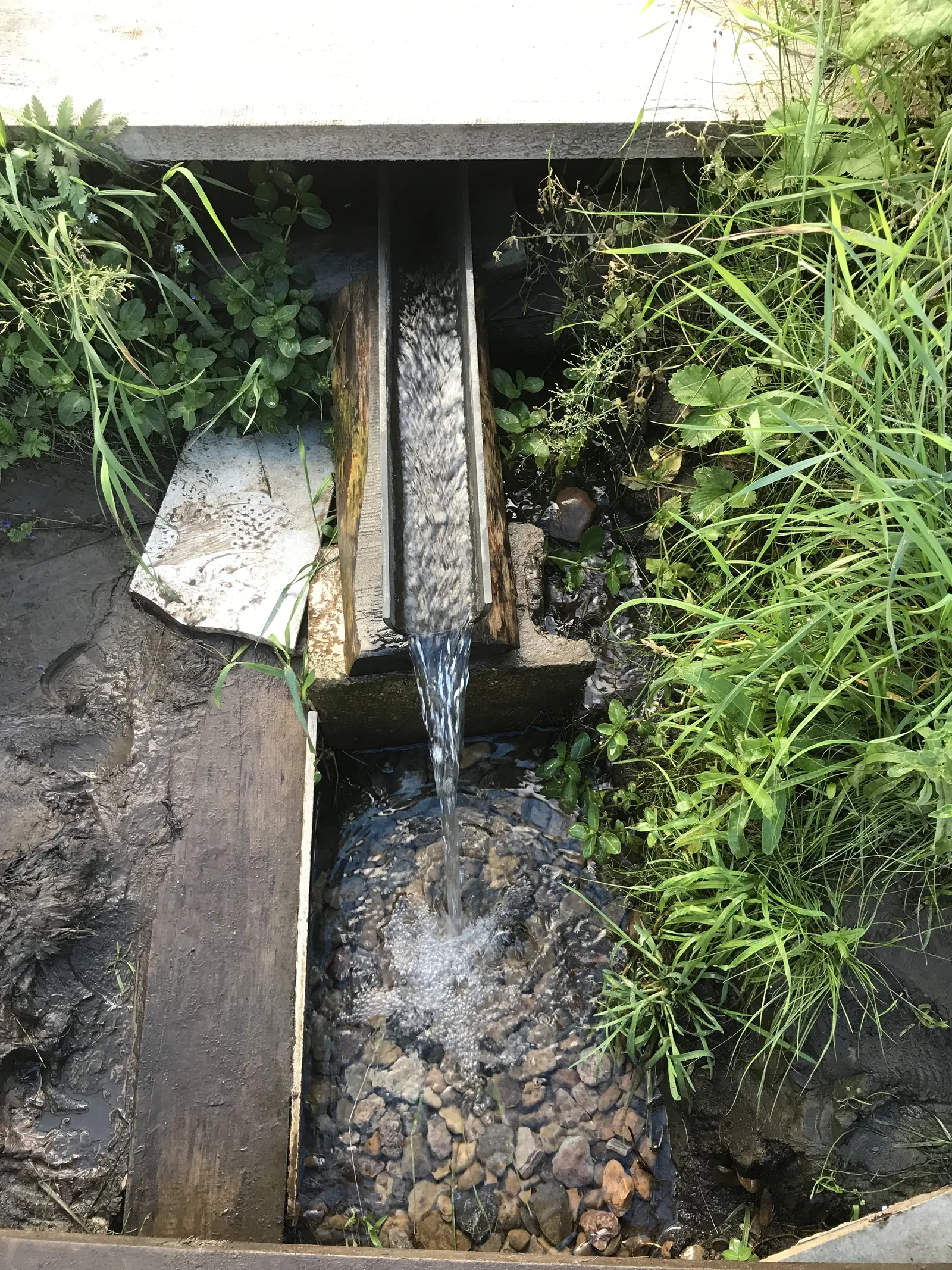 ТУГАН ЯК ЧИШМӘЛӘРЕ