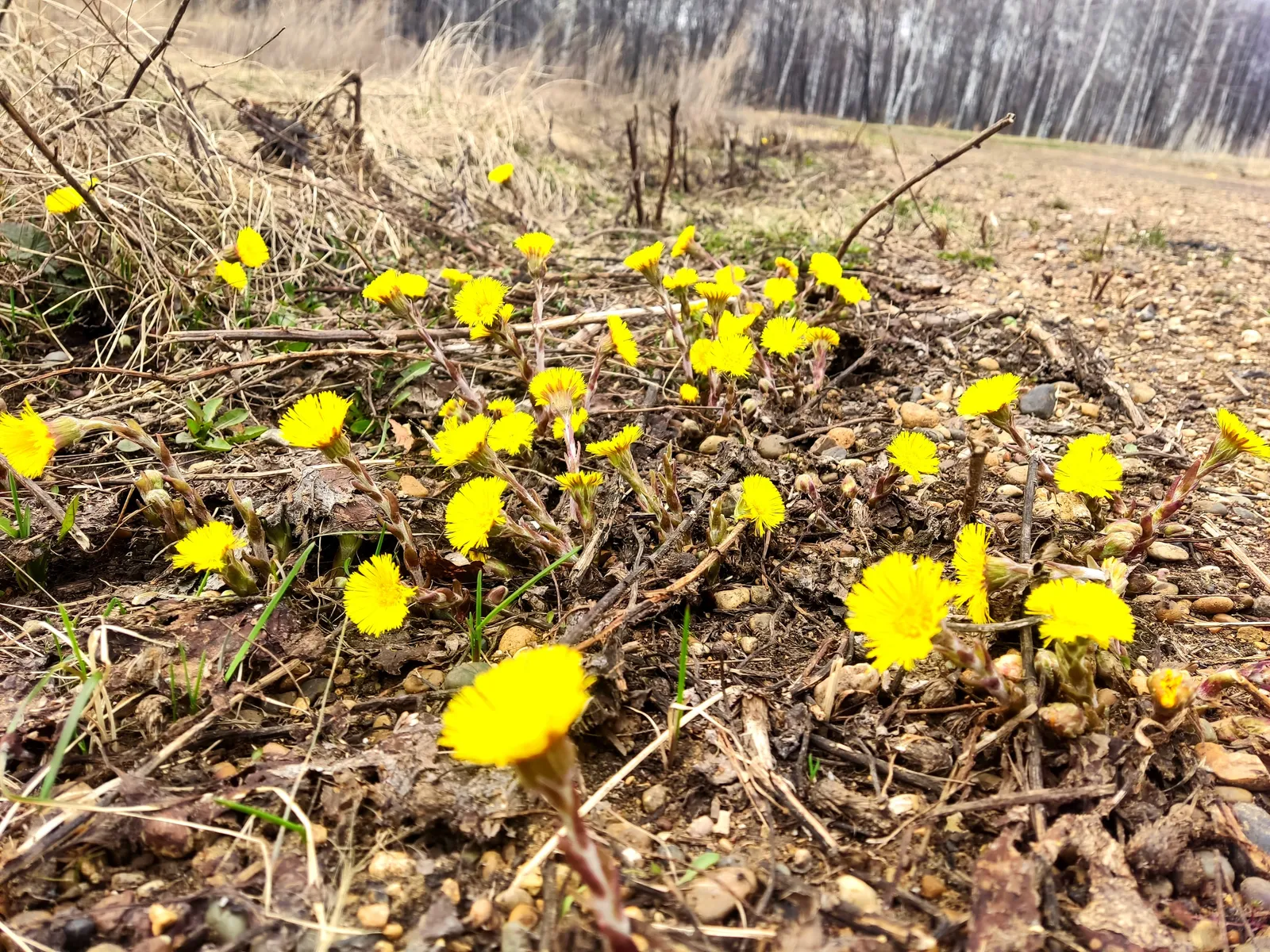 Синоптиклар ни фаразлыйлар?