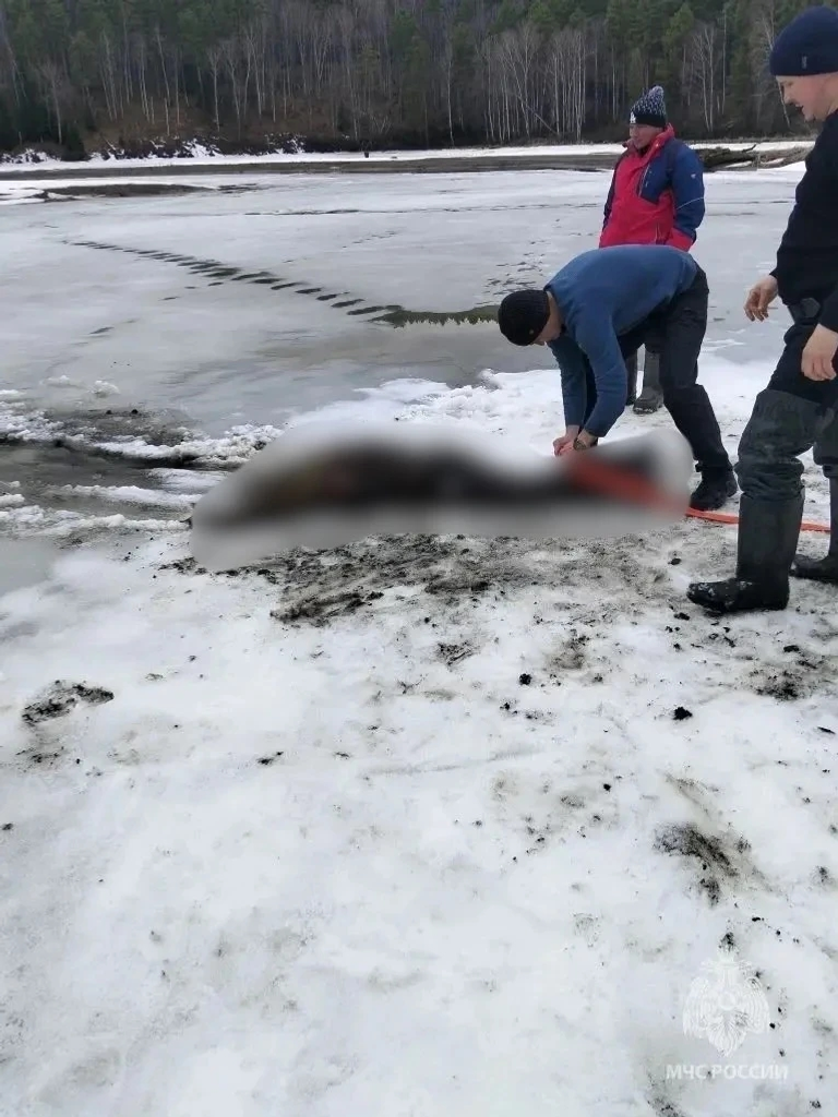 Уфада Карагай буасында 68 яшьлек ир-атның гәүдәсе табылган