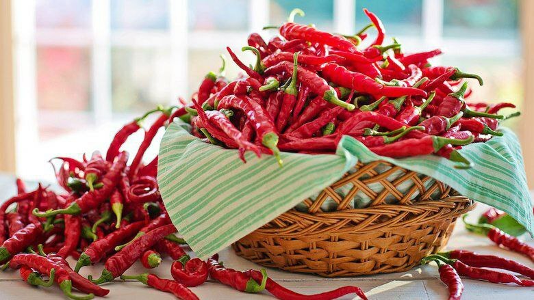 Сөткә салынган әче борычның файдасы бармы?