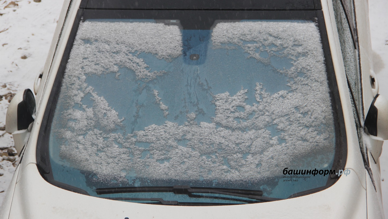 Ерак юлга чыкмый торыгыз!