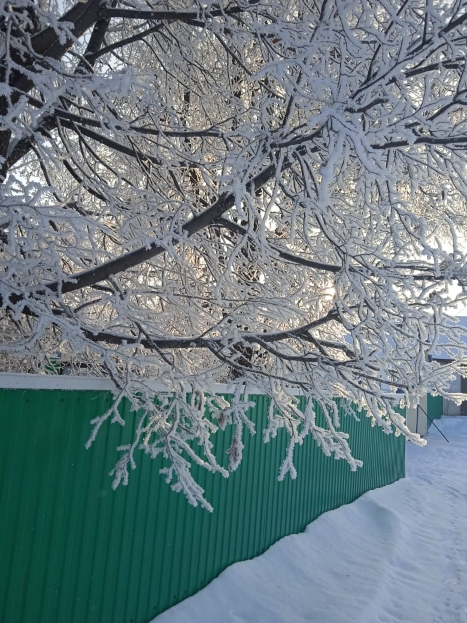 Альмира Бикмурзина.