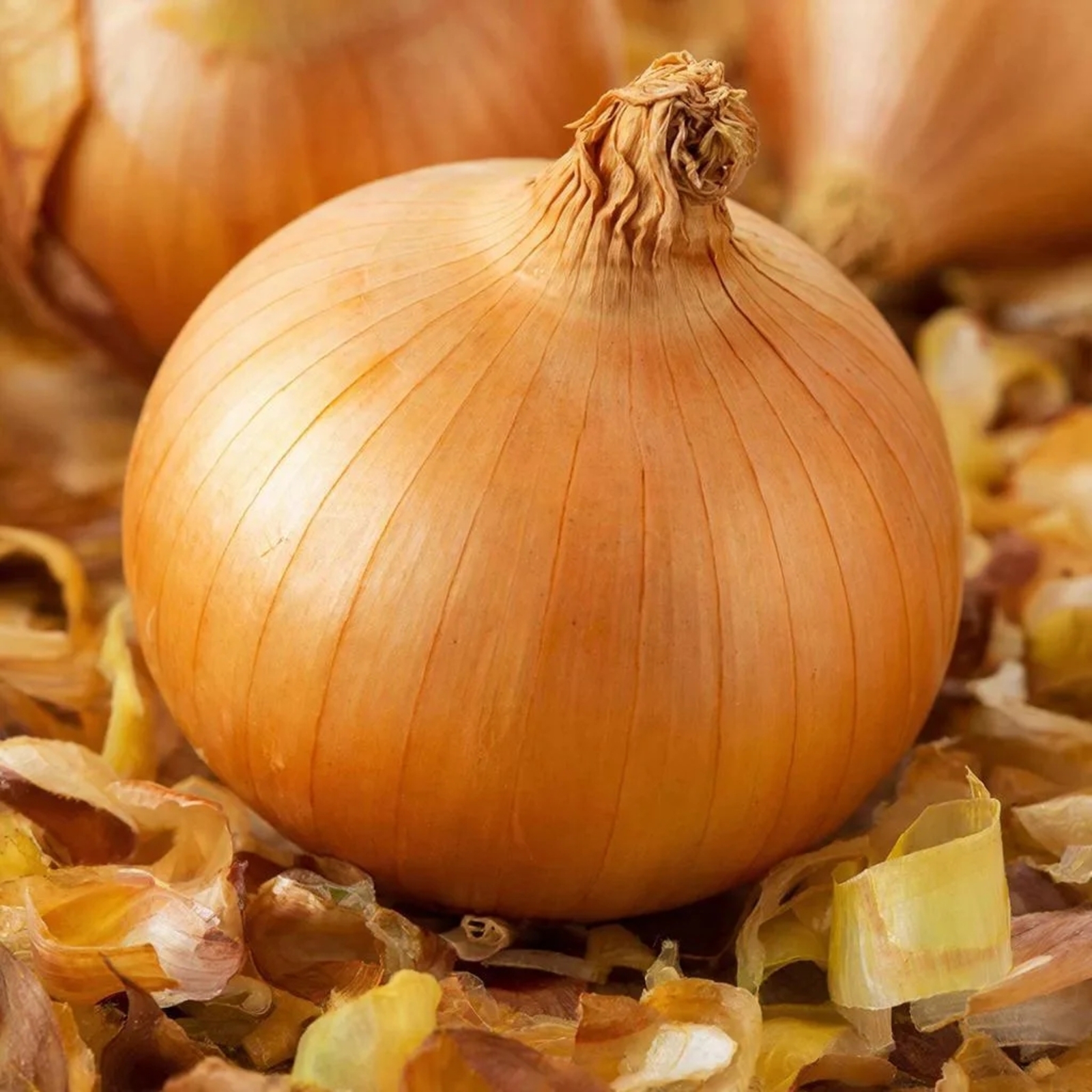 Чәч коелудан нәрсә булыша?